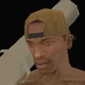 Clothing index 37: capzipback (capback)