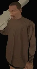 Clothing index 40: sleevtbrown (sleevt)